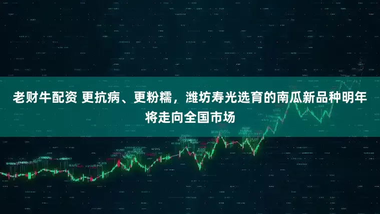 老财牛配资 更抗病、更粉糯，潍坊寿光选育的南瓜新品种明年将走向全国市场