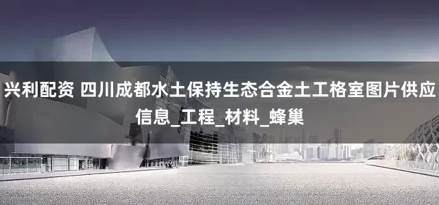 兴利配资 四川成都水土保持生态合金土工格室图片供应信息_工程_材料_蜂巢