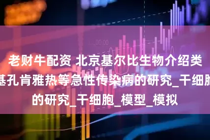 老财牛配资 北京基尔比生物介绍类器官技术与基孔肯雅热等急性传染病的研究_干细胞_模型_模拟
